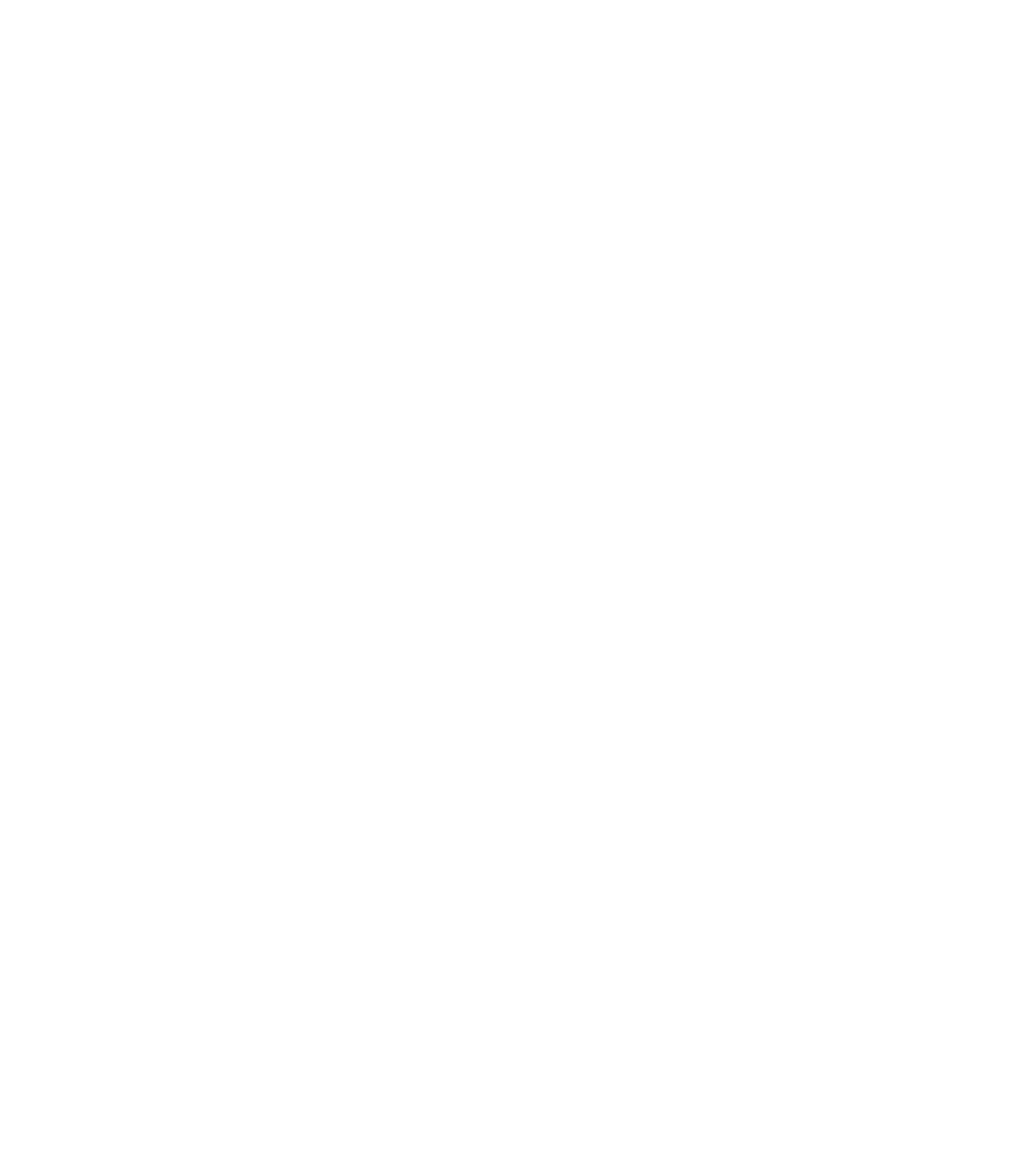 人体类器官模型