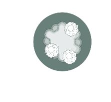 Immune Kidney Organoids