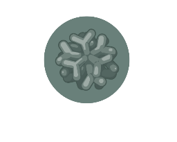 Ureteric Bud Organoid