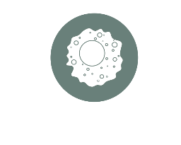 Macrophage