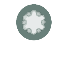 Kidney Organoid